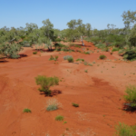 Port Hedland (3)